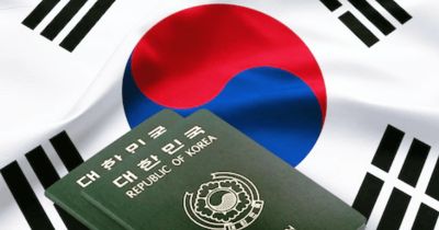 C&aacute;c Lỗi Trượt Visa H&agrave;n Quốc: 10 Nguy&ecirc;n Nh&acirc;n V&agrave; C&aacute;ch Khắc Phục