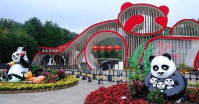 C&ocirc;ng Vi&ecirc;n Gấu Tr&uacute;c Th&agrave;nh Đ&ocirc;: Cẩm Nang Tham Quan 2026
