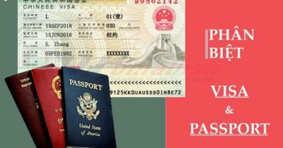 Hộ Chiếu V&agrave; Visa Kh&aacute;c Nhau Như Thế N&agrave;o? Hướng Dẫn Dễ Hiểu 2026